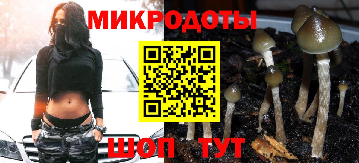 Махачкала  Псилоцибиновые грибы GOLDEN TEACHER  Вход с VPN 